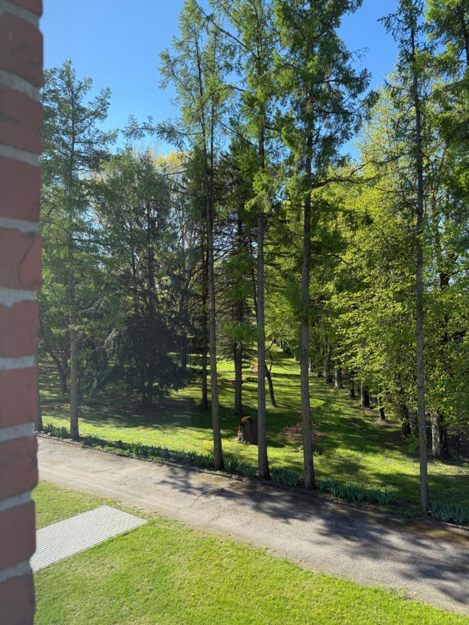 Eglute Hotel Šilutė Buitenkant foto